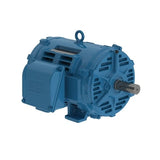 ODP C-Face Foot Mount Three Phase - 40 HP @ 3600 RPM (284/6TSC)