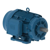 TEFC C-Face Foot Mount Three Phase - 20 HP @ 1800 RPM (254/6TC)