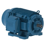 TEFC Foot Mount Three Phase - 125 HP @ 1200 RPM (444/5T)